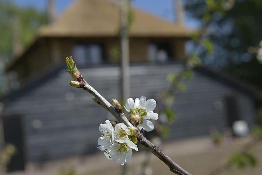 De Steltenberg In De Betuwe Zoelen Bagian luar foto