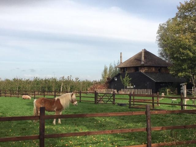 De Steltenberg In De Betuwe Zoelen Bagian luar foto